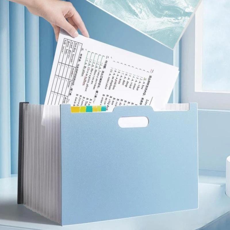 Cartella portadocumenti a fald - Expandable Accordion File Folder 13 Pockets recensione e prezzo